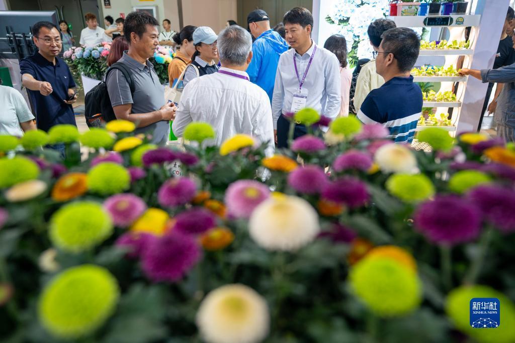 金沙娱手机乐登录口